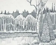 Untitled - Trees in Fall by David Pugh, 1981, graphite on paper, sold Dec 2017