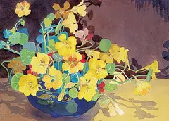 Annora Brown, Nasturtium, watercolour on paper