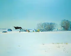 William H. Webb, Afternoon Sunlight [Near St. Paul Auction Mart], 1985, acrylic on canvas