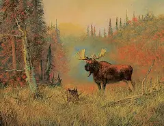 Milton Achtimichuk, Untitled - Bull Moose in Autumn, 2011, oil on canvas