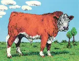 Joseph Fafard, Sonny #A/P, 1979, colour silkscreen on paper