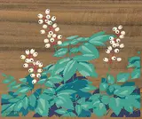A. J. Casson, The White Baneberry, colour silkscreen on wood panel