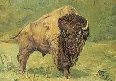 John T. Jones, Untitled - Bison, oil on canvas