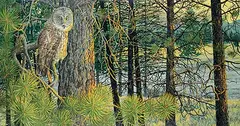 Joseph Cross, Untitled - Owl in the Sunlit Woods, 1986, oil on canvas