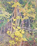 Gilbert A. Flodberg, Hillside Scramble, 2011, oil on canvas