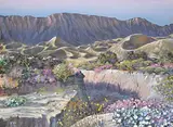 Armand Frederick Vallee, De Anza Borrego Desert