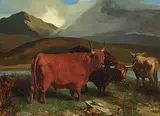 Aster Richard Chilton Corbould, Highland Cattle, 1870, oil on wood board