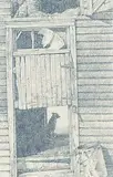 Patrick Douglass Cox, Study for Sarah's Dog, graphite on paper