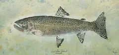 Mya DeRyan, West Slope Cutthroat, Fish Rubbing #1/1, 2005, hand coloured relief print on paper