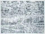 Edward William Godwin, Beaver Pond - Kananaskis Road #15/50, lithograph on paper