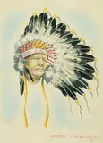 Gerald T. Tailfeathers, Yellow Horn, coloured pencil on paper