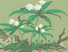 A. J. Casson, Untitled - White Flowers, colour silkscreen on paper