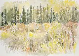 Dora Helen Mackie, Sunlit Woods