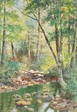 Frederic Marlett Bell-Smith, In the Woods at North Conway, N.H.