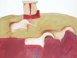 Joane Cardinal-Schubert, Stonehenge II