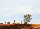 Ted Raftery, Summer Afternoon, 1988, oil on canvas