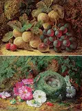 Oliver Clare, Untitled - Still Life with Flowers and Bird's Nest, Untitled - Still Life with Plums, Grapes and Raspberries