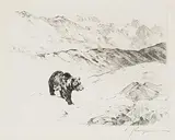 Carl Rungius, An Old Prospector, 1925, etching on paper