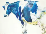 Gary Olson, Untitled - Holstein Cow, 1977, mixed media on paper