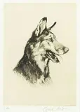 Cecil Aldin, Untitled - German Shepherd #8/150, etching on paper