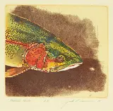 Jack Lee Cowin, Rainbow Trout #A.P., 1988, hand coloured etching on paper