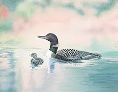 Loons by Elizabeth Ann Evans, acrylic on canvas, sold May 2016