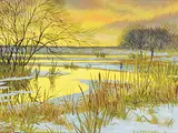 Isabel Levesque, Untitled - Winter Sunset, oil on wood board