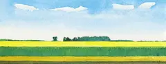 Chris Stoffel Overvoorde, Canola Field, Southern Alberta, 2006, watercolour on paper