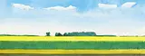 Chris Stoffel Overvoorde, Canola Field, Southern Alberta, 2006, watercolour on paper