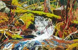 Horace Champagne, Spring Run-Off, Deep in the Forest, Parc de la Jacques Cartier, Quebec