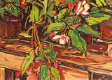 William Duma, Potted Plants, oil on canvas board