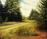 Daniel Plante, Chemin de Terre, 2010, acrylic on canvas