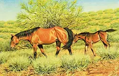 John Ralph Schnurrenberger, Mare and Foal #10, oil on canvas