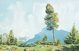 Tree in Banff Campground, Mt. Rundle by Margaret Shelton, 1981, watercolour on paper, sold Apr 2016