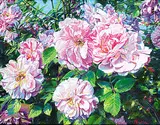 Patrick Russell Hurst, Untitled - 'Canadian Explorer John Davis' Climbing Rose I, 1986, acrylic on canvas