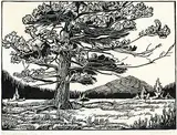 Windblown Fir #35/100 by Margaret Shelton, 1947, lino block on paper, sold Apr 2016