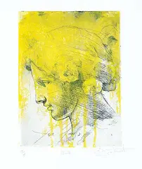 Carl White, 1610 #3/4, colour etching on paper