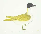Kananginak Pootoogook, Isunga #VI/X, 1977, colour lithograph on paper