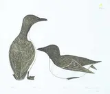Kananginak Pootoogook, Akpait #VI/X, 1977, colour lithograph on paper