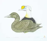 Kananginak Pootoogook, Amaulik #VI/X, 1977, colour lithograph on paper