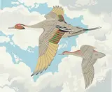 A. J. Casson, Untitled - Flying Geese, colour silkscreen on paper