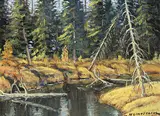 Matt Lindstrom, Untitled - Beaver Creek