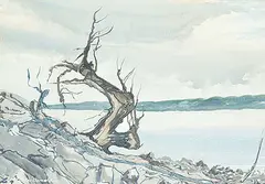 Murray William MacDonald, Untitled - Tree on the Lake Shore, watercolour on paper