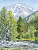 Doug Miller, Untitled - Mountain Stream, oil on canvas board