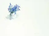 Molly Lamb Bobak, Grape Hyacinth