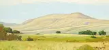 Roland Gissing, Foothill Study on Willow Creek