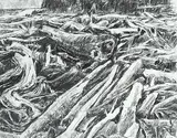Gordon A. Smith, Untitled - Logs on the Beach, charcoal on paper