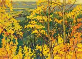 William Duma, Aspens