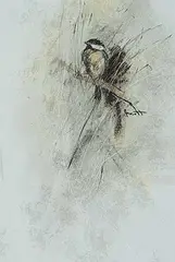 Jane Everett, Chickadee IV, mixed medium on vellum
