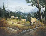 Barbara Fisher, Untitled - Herd of Elk, oil on canvas